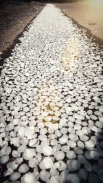 Pebbles in shallow water