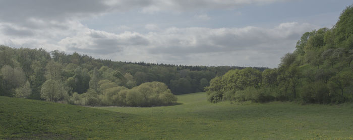 Trees on field against sky