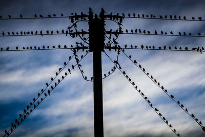 Low angle view of silhouette birds against sky