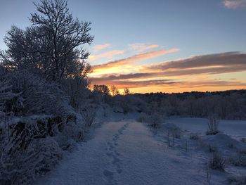 Scenic view of snow covered field against sky at sunset