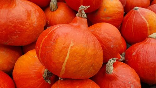 Full frame shot of pumpkins at market stall