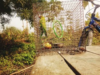 View of bicycle and yellow metal fence