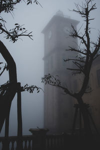 Tree by building against sky during winter