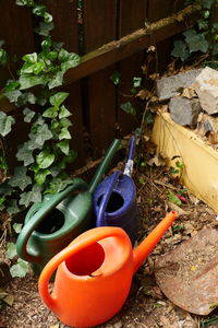 Close-up of potted plant growing in yard