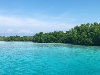 Scenic view of sea against blue sky