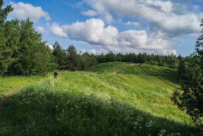 Person standing on grassy field against sky