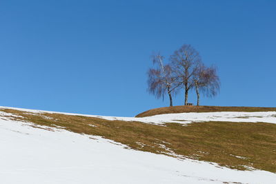 environment