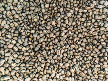 Single origin of bali kintamani coffee beans