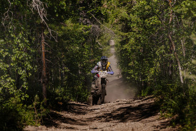 Rear view of man riding bicycle in forest