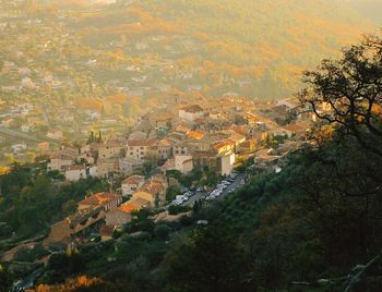 High angle view of townscape and trees in city