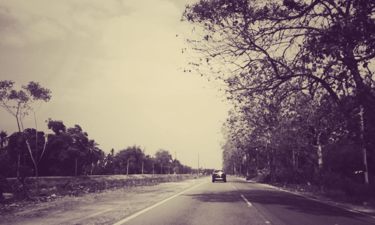 transportation, road, the way forward, tree, road marking, diminishing perspective, car, land vehicle, vanishing point, street, mode of transport, sky, country road, empty, empty road, on the move, asphalt, outdoors, treelined, nature