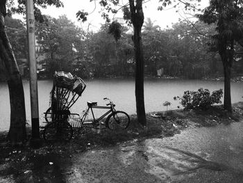 Bicycle by trees against sky