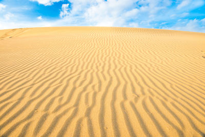 Sand dune in desert against sky
