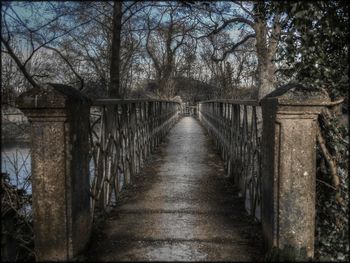 Footbridge along bare trees