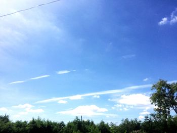 Low angle view of trees against blue sky