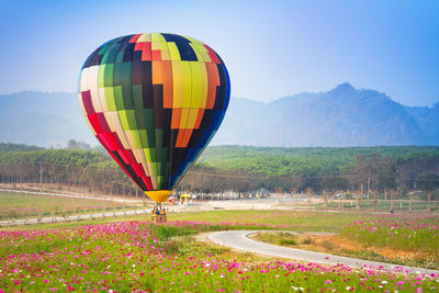 Multi colored hot air balloons on field against sky