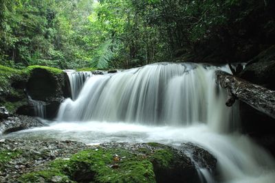 Scenic view of waterfall in forest