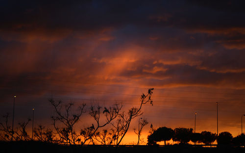 Silhouette trees on field against orange sky