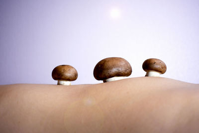 Low section of man against white background