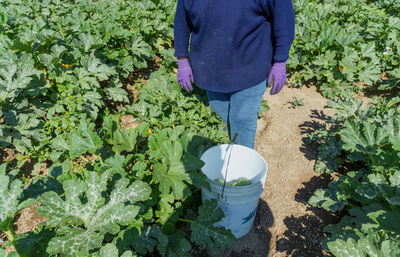 Rear view of woman standing amidst plants