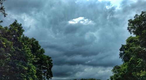 Low angle view of trees against cloudy sky