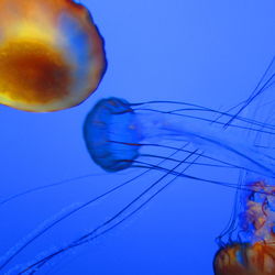 Low angle view of power lines