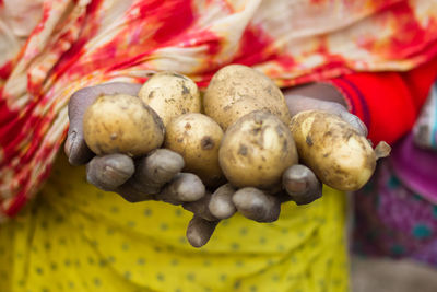 Close-up of hands holding potatoes