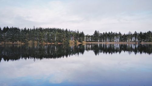 Reflection of trees in lake against sky