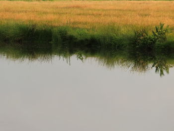 Scenic view of lake