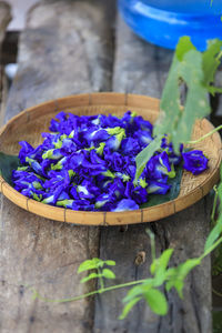 Close-up of purple flowering plant on table