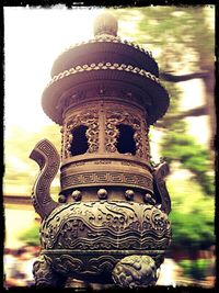 Close-up of plant against white background