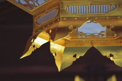 Close-up of yellow leaves