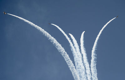 Low angle view of plant against sky