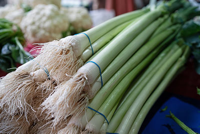 Close-up of vegetables for sale in market