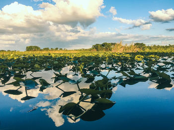 Scenic view of lake against sky