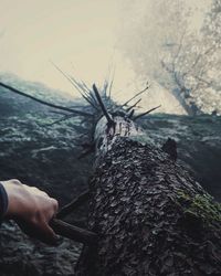 Close-up of man holding tree trunk in forest