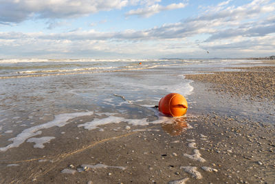 Buoy from the sea on the shore