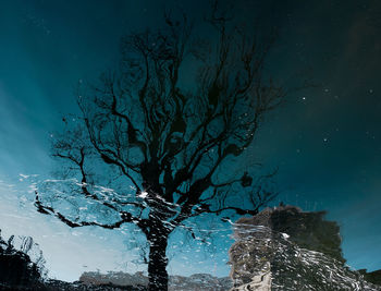 Low angle view of bare tree against blue sky at night