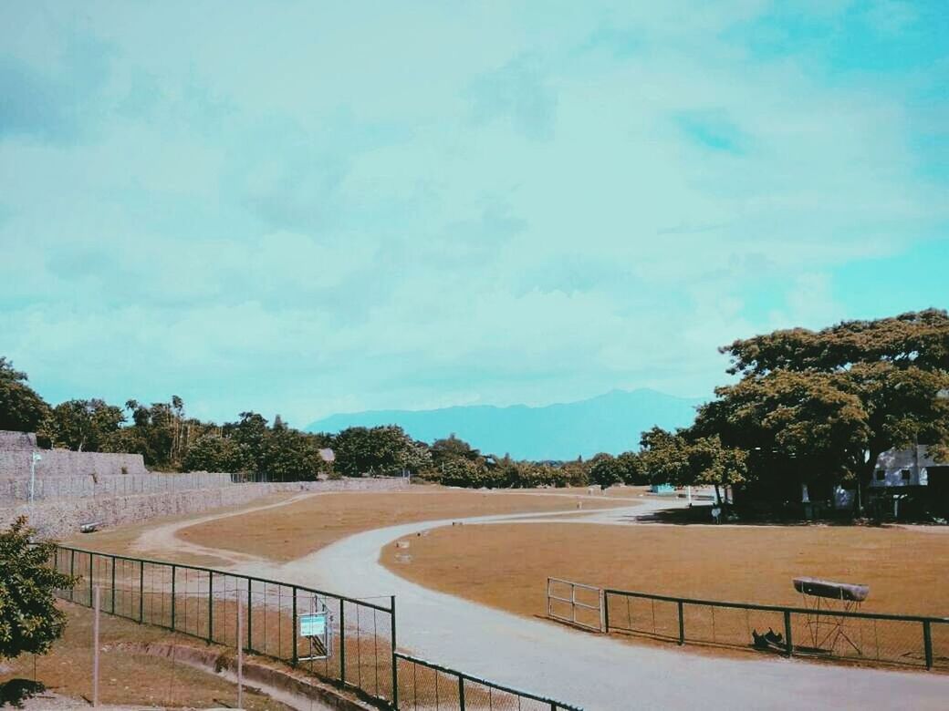 tree, sport, sky, day, outdoors, no people, nature