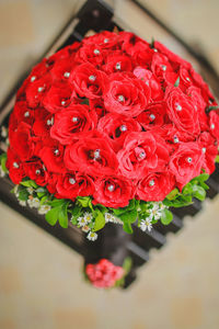 Close-up of red flower in plate