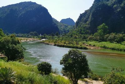 Scenic view of river amidst trees against sky