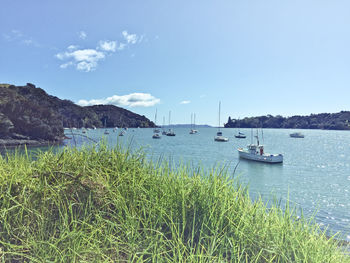 Boats in calm blue sea against sky