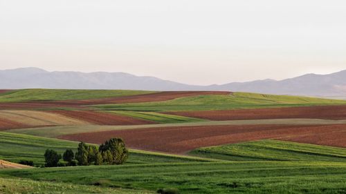Farming fields outside of hamedan, iran