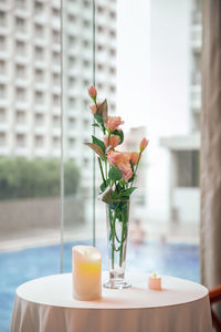 Close-up of potted plant on table