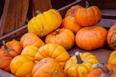 Close-up of pumpkins for sale at market