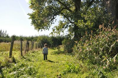 Rear view of boy standing on field