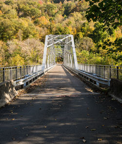 Bridge over road in forest