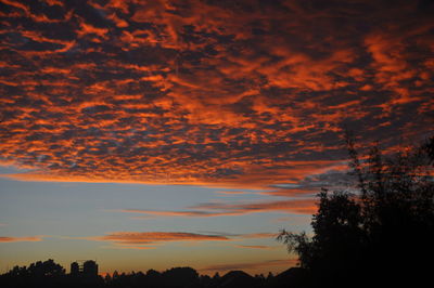 Low angle view of silhouette trees against dramatic sky