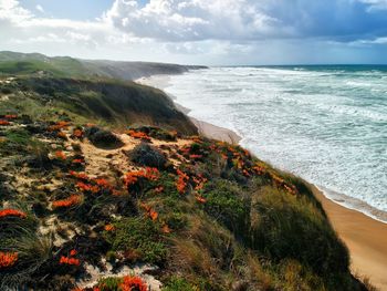 Scenic view of sea against sky