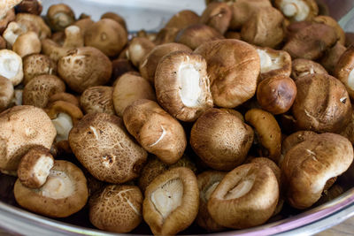 High angle view of mushrooms in plate
